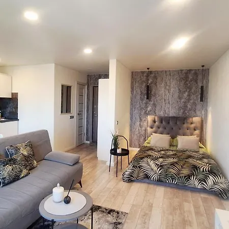 Apartamentai Su Balkonu Prie Akropolio Nr 2 Apartment *