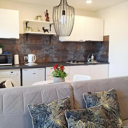 Apartment Apartamentai Su Balkonu Prie Akropolio Nr 2 Klaipėda